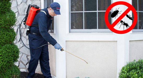 Yüreğir Hamam Böceği İlaçlama böcek ilaçlama ve haşere kontrolü — ilaclama-tr.com